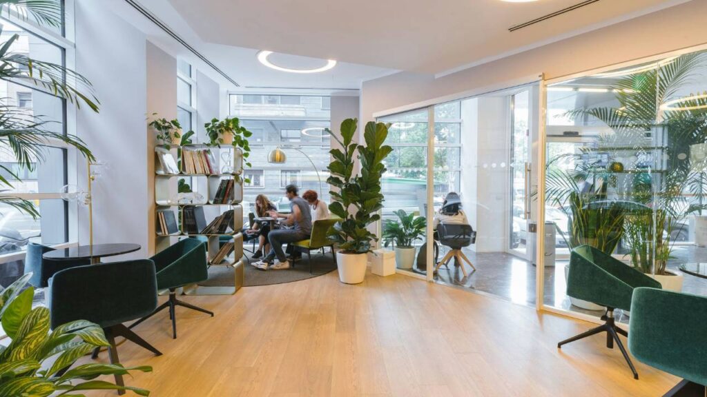 A photo of a contemporary office full of plants